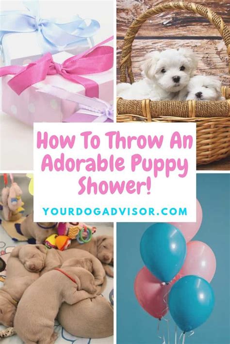 How To Throw An Adorable Puppy Shower Your Dog Advisor