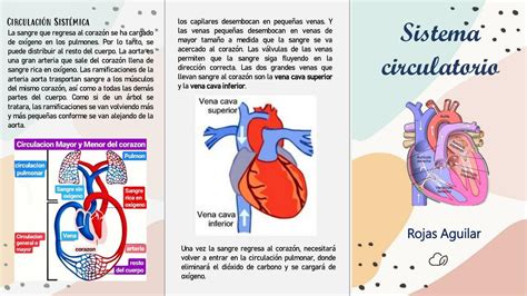 Triptico Enfermedades Del Sistema Circulatorio Lenguaje Pinterest My