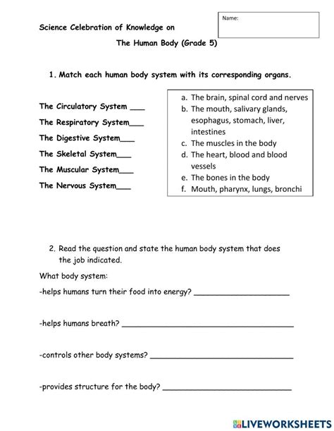 5th Grade Science Worksheets Edform Worksheets Library