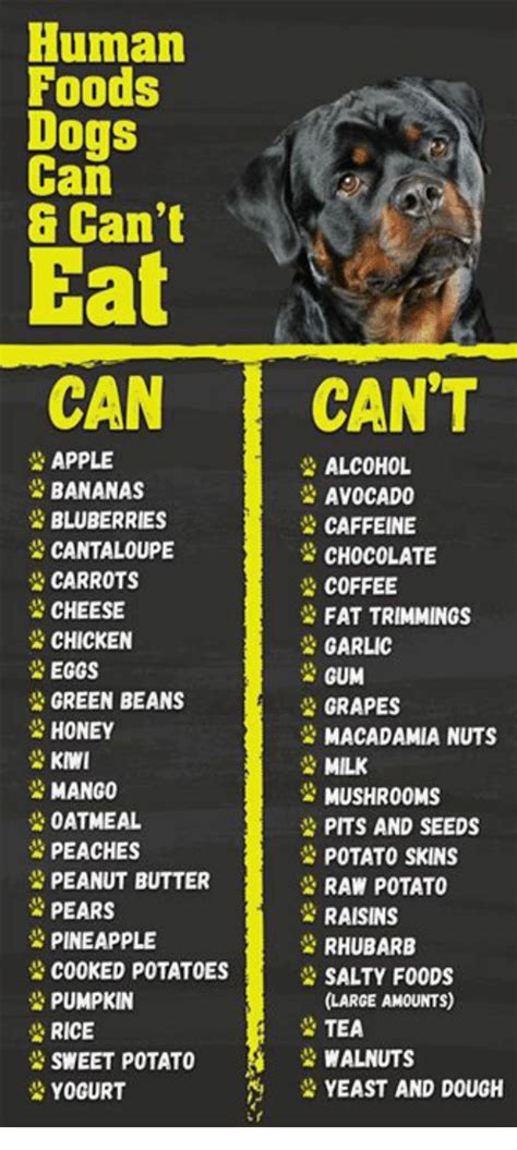 Never, ever, ever give your dog pork bones. Human Foods Can Can't Eat CAN CANT APPLE ALCOHOL BANANAS AVOCADO BLUBERRIES CAFFEINE CANTALOUPE ...
