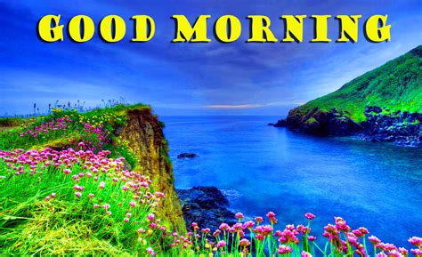 Beautiful Good Morning Scenery Images Photos Hd Download Good Morning