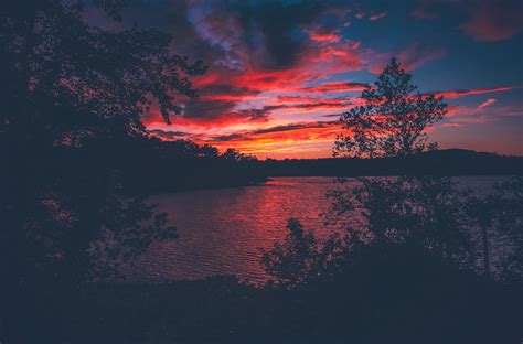 Red Evening Sunset Lake View From Forest Woods Hd Nature 4k