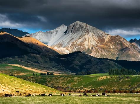 New Zealand Landscape Rock Mountain Snow Pasture With Green Grass