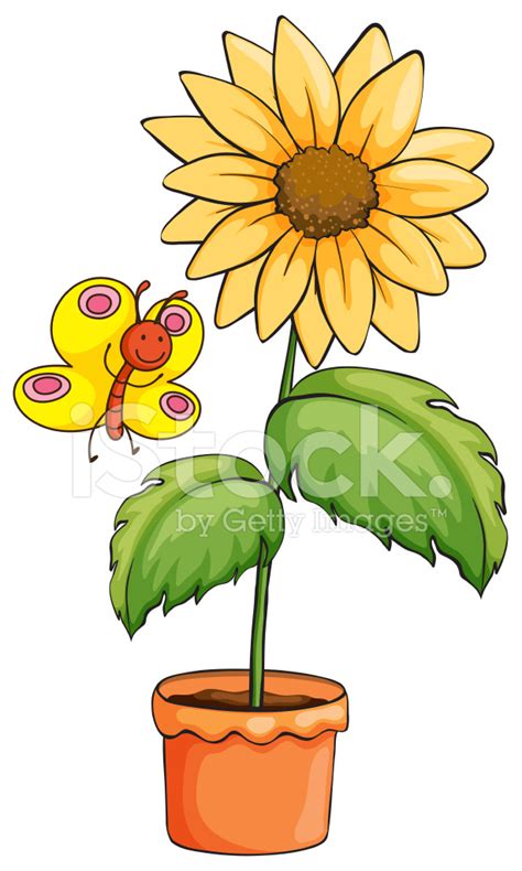 Sunflower And A Butterfly Stock Vector