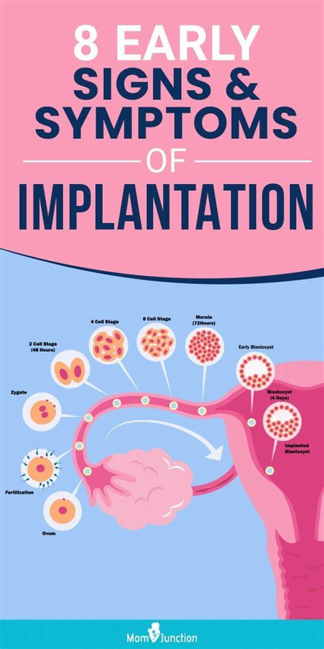 Signs Of Implantation Bleeding
