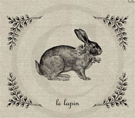 Clip Art Vintage Vintage Images French Vintage Rabbit Illustration Engraving Illustration