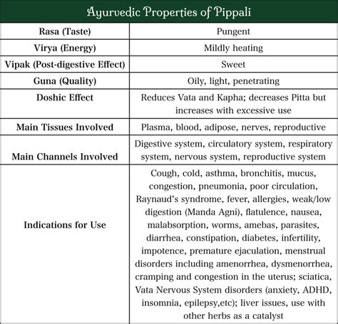 Pippali Indian Long Pepper And Its Powerful Health Benefits Svastha
