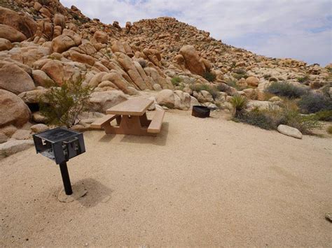 Indian Cove Campground Joshua Tree Reservations Shalonda Holcombe