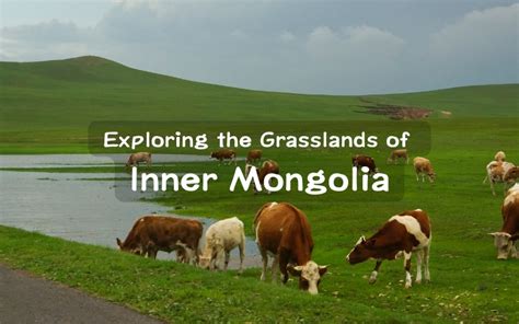 Exploring The Grasslands Of Inner Mongolia