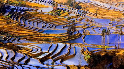 🥇 China Yunnan Agriculture Landscapes Nature Wallpaper 137000