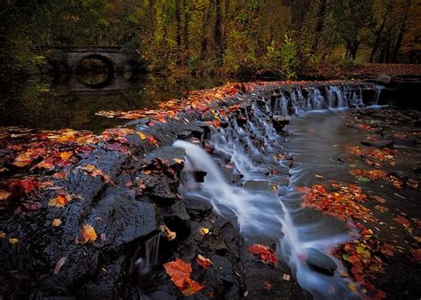 Autumn Forest Bridge Park River Waterfall Cascade Ohio Fallen