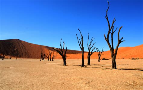 Sonnenaufgang Im Dead Vlei Namibia Foto And Bild Landschaft Wüste