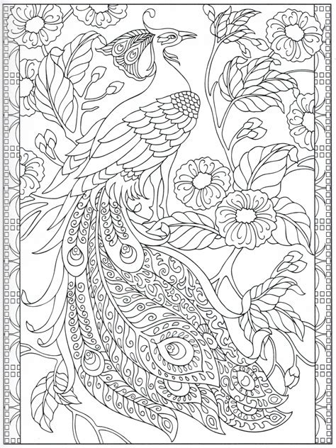 Animals are a wonderful subject to color. Peacock coloring page 24/31 | Color pages, Stencils ...