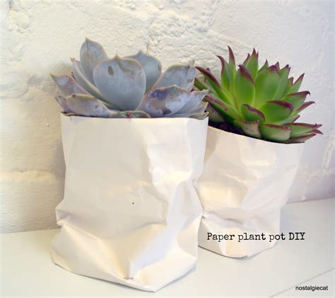 Nostalgiecat Diy Paper Plant Pot