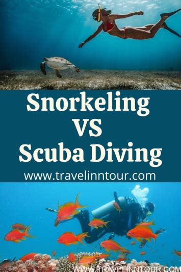 The Difference Between Snorkeling And Scuba Diving Cloud Information And Distribution
