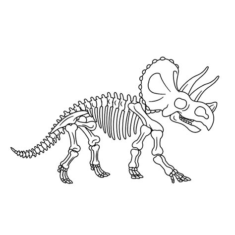 Dino 4 leren tekenen leer tekenen thema dinosaurus. dino skelet kleurplaat - Google zoeken | Dinosaurussen, Fossielen, Skelet tekeningen