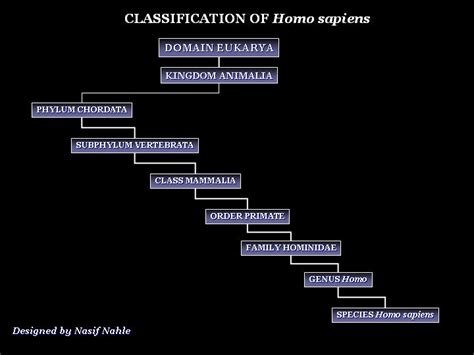 Scientists have discovered over a million different species of living things on earth this long list of names is normally shortened down to the last two names, homo sapien, which are the genus and species, known as binomial nomenclature. Classification of Homo sapiens