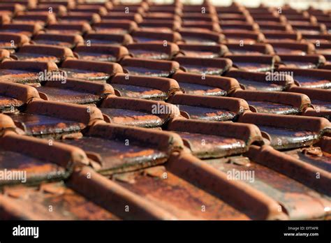 Red Tiled Roof Stock Photo Alamy