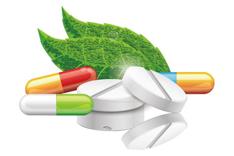 Herbalism Medicine Naturopathy Alternative Health Services Clip Art