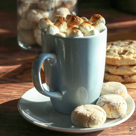 Double Hot Chocolate With Toasted Marshmallows Desserts