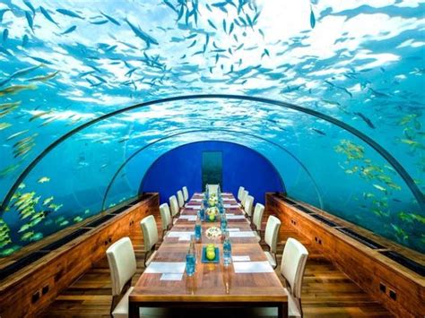 8 Underwater Restaurants You Must Visit Before You Die