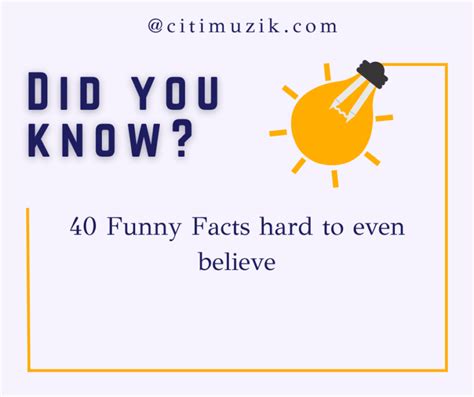 40 So Funny Facts Hard To Even Believe — Citimuzik
