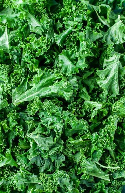 Kale is grown mainly for autumn and winter harvest, as cold improves its eating quality and flavor. 10 Tasty Ways to Eat More Kale - Peas and Crayons Kale Recipes