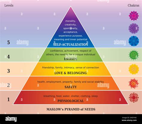 Pirámide De Necesidades De Maslow Jerarquía De Necesidades Humanas