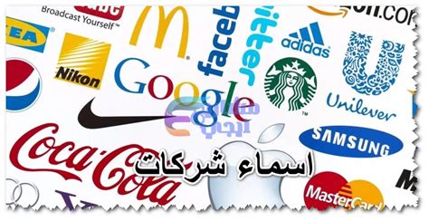 اسماء شركات الدفع الالكترونى فى مصر