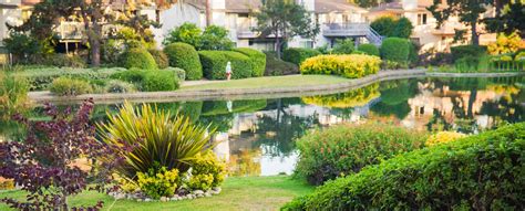 Pacific Green Landscape | San Diego landscaping