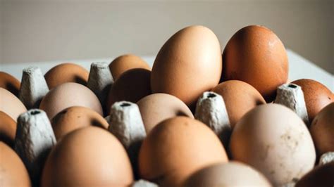 hollanda da son bir yılda yumurtanın fiyatı yüzde 26 arttı hollanda haber hollanda haberleri