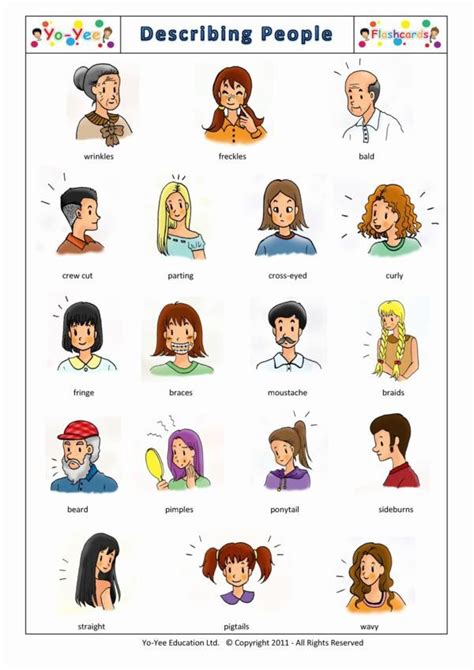 Describing People Flash Cards For Kids 描述人 Teaching Describing