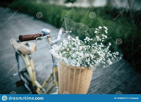 Vintage Bicycle With Basket And Flowers Stock Image Image Of Outdoors