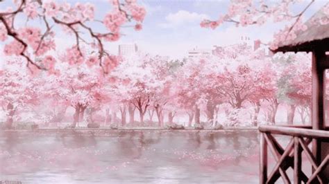 รูปภาพ Anime Cherry Blossom And  Anime Scenery