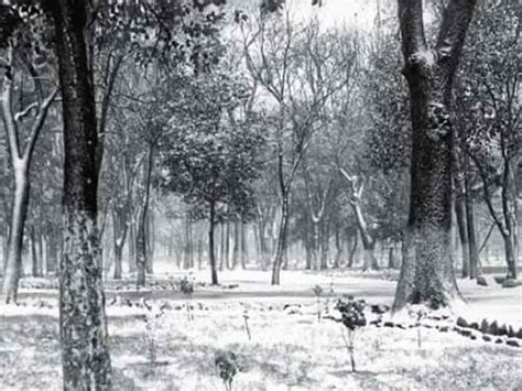 Hace 55 Anos Nevo En La Cdmx Bosque De Chapultepec