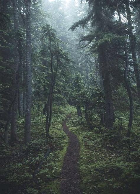 Sure Im On The Road Nature Photography Beautiful Nature Fantasy