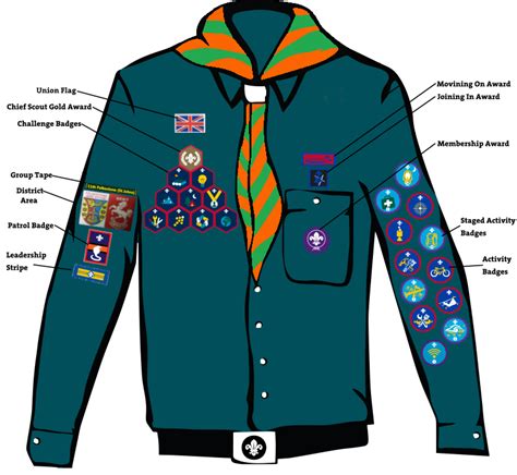 Scouts Badge Placement Th Folkestone Scout Group
