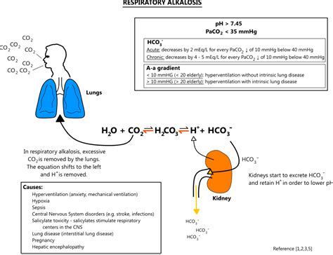 acid base disorders respiratory acidosis acidosis metabolic alkalosis