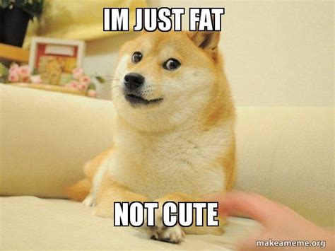 Fat Doge Meme Stagefat Doge Hp200 80 Pokd Power Call Of Doge All The