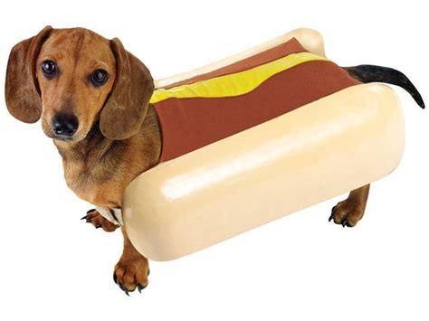 Hot Dog Pet Food Dog Costume