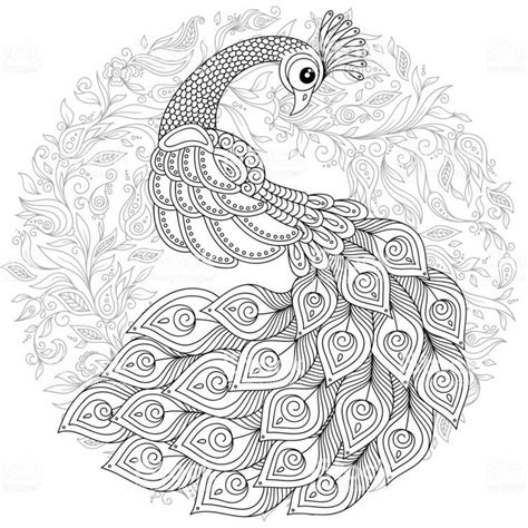 The blue peacock, the green peacock, and the congo peacock. Pin on Blommor