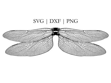 Dragonfly Wings Png