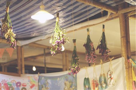 Add interest to your room and create a stunning foliage focal point by hanging indoor plants from your ceiling. Photos - Dry flowers hanging on ceiling 111401 ...