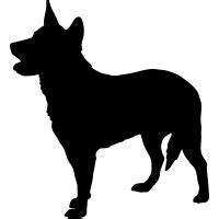 Australian Cattle Dog | Australian cattle dog, Dog outline, Cattle dog