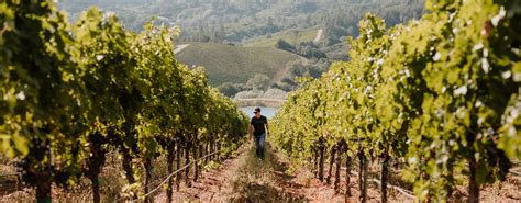 The Vineyards | Captûre Wines