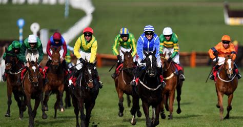 Compare the best winning odds and see who has the biggest chances! Cheltenham 2020 Day 2 tips as Dame De Compagnie has Garry Owen dreaming of glory - Daily Record