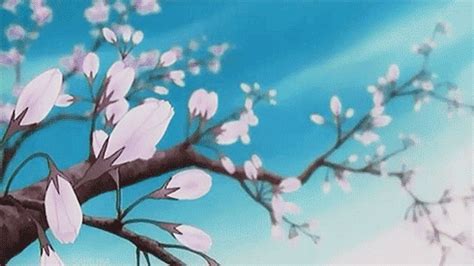 Checkout high quality anime wallpapers for android, pc & mac, laptop, smartphones, desktop and tablets with different resolutions. blooming plants gif | Tumblr