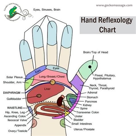 Hand Reflexology Chart Reflexology Hand Chart Geckomassage