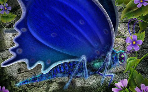 Blue Butterfly Wallpaper Hd Pixelstalknet