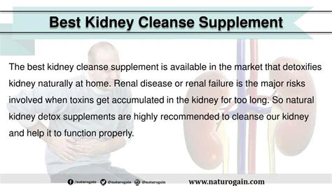Ppt Best Kidney Cleanse Supplement To Detox Kidneys Naturally At Home